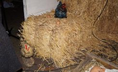 48368880_1009535265896459_5702890294689660928_o