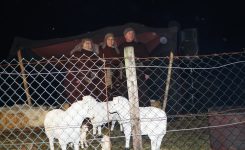 48381312_1009535062563146_2788839294561681408_o