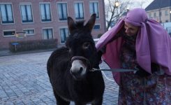 48389554_1009531962563456_2611860614464667648_o