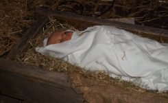 48423896_1009535219229797_3933475717060231168_o